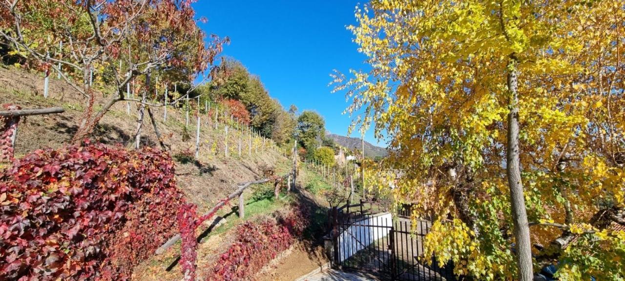 Chalet Sophie - Luxury Chalet Roletto Luaran gambar